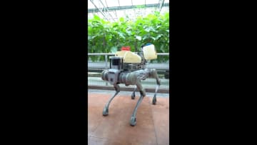 まるでSF映画　ロボットが活躍する中国山東省のハイテク温室