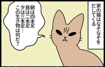 「朝は四本足、昼は二本足…」なぞなぞを出してくる猫。しつこすぎて無視したら？【ねこもんすたー ニャーオ! ＃８】