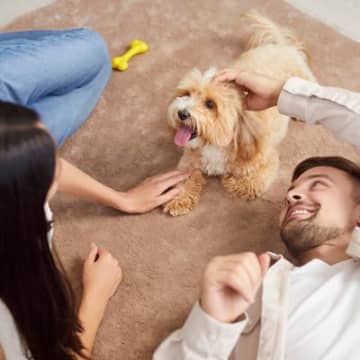犬が人間のことを『友達だと思っている』ときにする行動5選　愛犬に仲間だと思ってもらう方法とは？