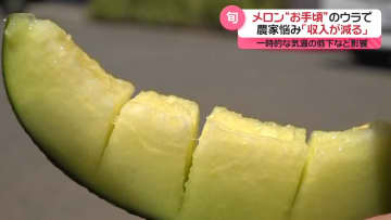 メロンが去年同時期より“お手頃”に　価格のウラで農家の悩みも