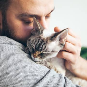 麻酔をかけられた猫が病院から脱走！数日後に5キロ離れた自宅へと自力で帰りつく　米国