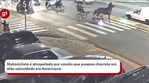 暴走の馬車がバイク運転手をはねる
