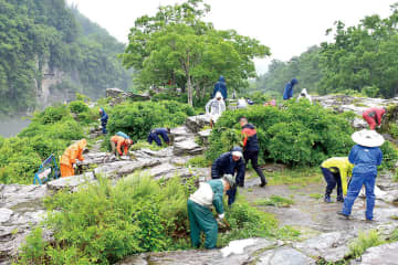埼玉の観光名所「岩畳」を200人以上が大掃除　埼玉・長瀞　景観の復元へ「リフレッシュ大作戦」　外来植物などを伐採　一斉に実施するのは町で初の試み