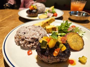 【八丁堀】アネアカフェ八丁堀で愛犬とランチ！6月15日の閉店がとても残念です。