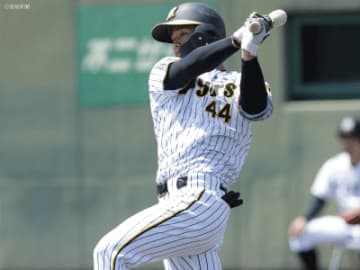 先制2点適時二塁打に阪神7点の猛攻呼ぶ2四球と3出塁の活躍！中野拓夢のみならず大山悠輔/佐藤輝明の立場を脅かす存在に成長期待の好打者とは！？