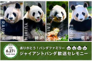 パンダの歓送セレモニー 詳細が決定！ アドベンチャーワールドへ行って4頭にお別れをしてみたら？ （和歌山）
