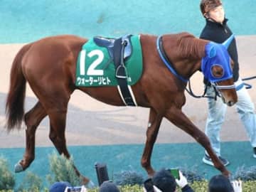 春のマイル王を決める「安田記念」で過去10年3着内すら入れていない【死の馬番】に入ってしまった可哀そうな馬とは！？