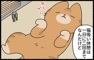 猫吸い休憩は1日2回までが決まり！ どうしても猫を吸いたくなったら？【ねこもんすたー スリスリ＃９】