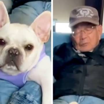 おじいちゃんと留守番していた犬→帰宅後…衝撃的な『まさかの光景』に困り果てる姿が71万再生「どういうことｗｗ」「ホールドしてて草」と爆笑