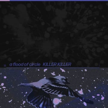 a flood of circle、6月14日に新曲をデジタルリリース。パッケージはファン待望のレア曲を収録したライブ映像付
