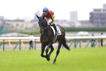 【日本ダービー】レーン「ポジションの差が出た」皐月賞馬ミュージアムマイルは6着に沈む…レース後ジョッキーコメント