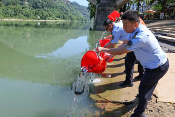 中国・武夷山市、崇陽渓で魚の放流活動を実施
