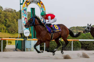 【佐賀・九州優駿栄城賞】ムーンオブザエースが佐賀2冠！秋へ弾みの6勝目