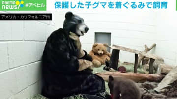 生後2カ月の子グマの親は“着ぐるみ”！？ 母熊になりきる飼育員たちの保護活動 米