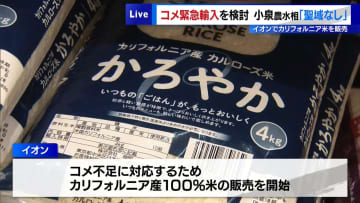 小泉農水相「聖域なし」コメ緊急輸入を検討　イオンではカリフォルニア米を販売