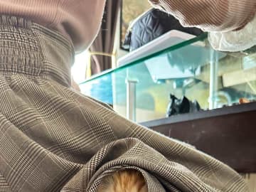 外出のため化粧をする妻　離れたくない猫の行動に「賢いな」「これは連れていくしかない」