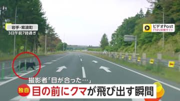 【独自】「目の前にクマが飛び出す瞬間」あわや事故ギリギリ回避「高速道路に飛び出してくるとは」衝突避けられず大破する車も