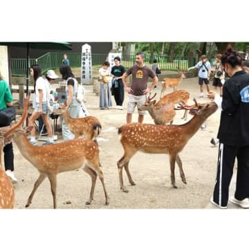 鹿とたわむれる外国人観光客のパンチラ狙い動画投稿…月数十万円を荒稼ぎした盗撮男の手口