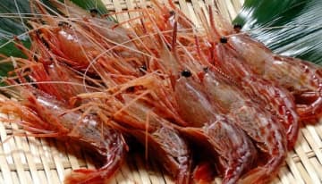 「めちゃくちゃほしい！！！」まさかの食品サンプルで作ったピアスが意外な売れ行き→「新鮮で美味しそう」「センス最高」
