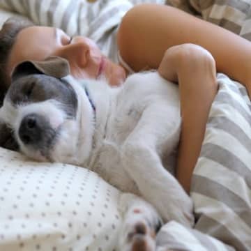 愛犬と一緒に寝ても大丈夫？具体的な問題や飼い主が注意すべきポイントまで