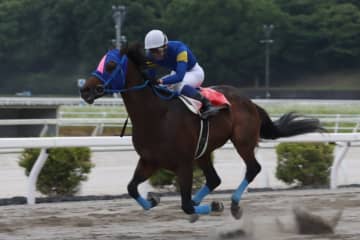 【瀬戸特別】9歳馬メイショウウズマサが力強く押し切る…サンライズグリットを退けて快勝
