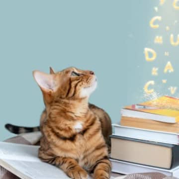 猫が何度でも聞きたくなる『大好きな言葉』3選　猫が喜ぶ声のトーンや話し方のアドバイスも