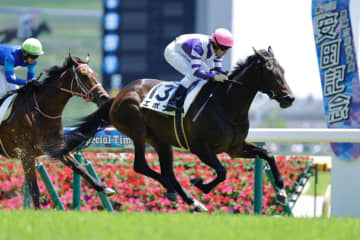 【東京4R】単勝1.4倍エポナが断然の人気に応える