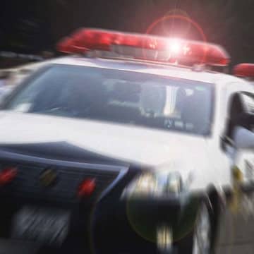 ベトナム人ガールズバー“発祥地”東京・湯島でまた摘発…仰天の売り上げと捕まった経営者の意外な羽振り
