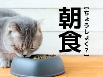 【朝食】は「ちょうしょく」以外の読み方がある！？まさかそう読むなんて…【意外と知らない漢字クイズ】