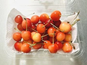 「さくらんぼ」は冷蔵庫に入れちゃダメ！甘いまま美味しく食べる保存のコツ