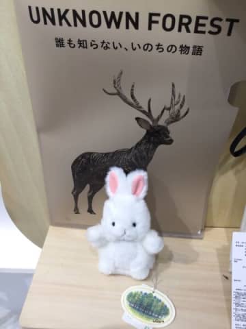 大阪・関西万博を楽しく、うさぎさんと過ごそう〜