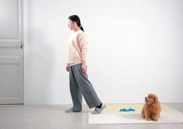 犬のチャイム吠えとおねだり吠え、実は飼い主が原因かも？見直し・対策とは