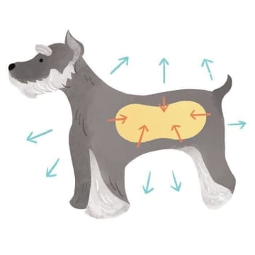 犬の鼻血やよだれに血が混じる場合の注意点　気を付けたい分泌物のサイン