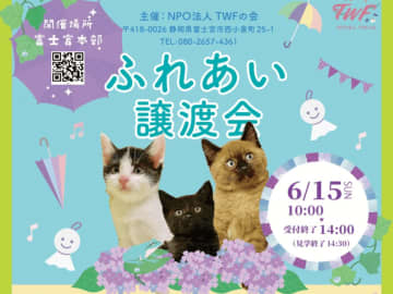 青木さやかさん参加！6/15（日）＠富士宮市「運命の家族にも出会うかも…？」仔猫・成猫・犬の譲渡会