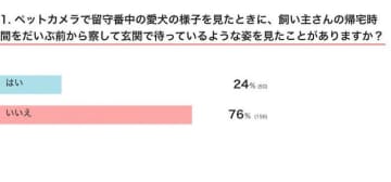 なんで帰宅時間がわかるの!?　飼い主が帰る時間よりずっと前から玄関で待っている犬の心理｜獣医師解説