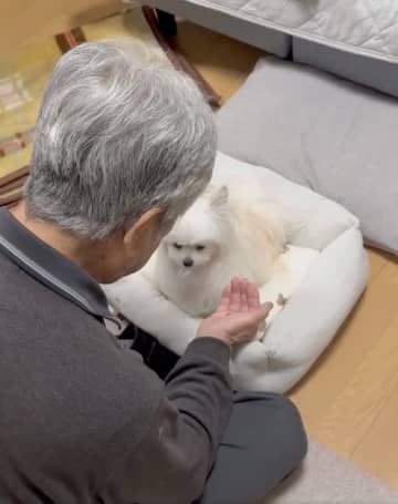 おじいちゃんを怖がる犬。もらったおやつを「仕方がなく食べたら…」まさかの表情に6.1万いいね→「ハッッ！？」「致命的にかわいい」
