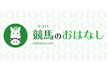 【阪神6R】キタサンブラック産駒 ジョワイユノエルが人気に応える