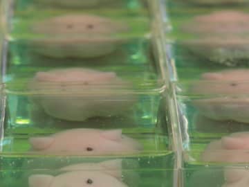 「一瞬、ブタかと思ったら…」　和菓子でできた『海の生物』に「勿体なくて食べられません」