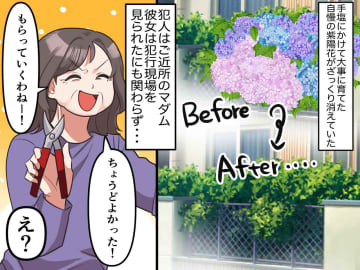 庭の紫陽花を【勝手に切り取ったご近所さん】「だって、咲かせてるってことは──」"衝撃の言い分"が！