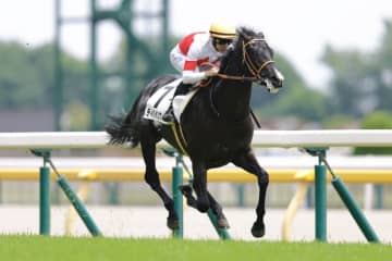 【新馬/東京5R】ディバインウインドが東の1番星…ゾロアストロは出遅れ2着