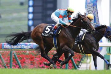 【香港JT】単勝1.1倍ウィクトルウェルスが断然の支持に応える