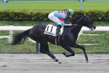 【東京4R】断然人気のマックスキューが5馬身差圧勝