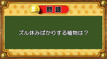 【おめざめ脳トレ】なぞなぞ！ズル休みばかりする植物は何でしょう？【『クイズ！脳ベルSHOW』より】