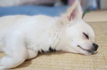 それって梅雨ブルー？雨の日にだるい・眠い・やる気がでない原因＆対処法