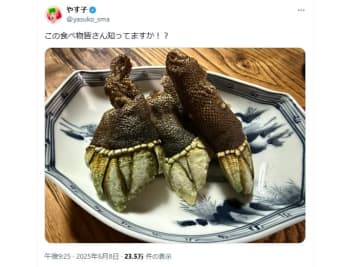 やす子「この食べ物皆さん知ってますか！？」衝撃的な見た目の食材投稿…回答続々