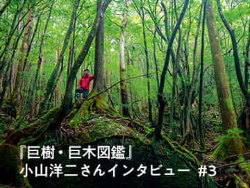 小山洋二さん 【巨樹・巨木図鑑】“私が巨木に惹かれる理由”  インタビュー #3