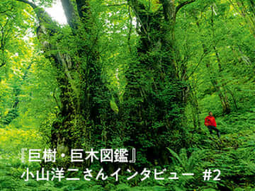 小山洋二さん〝巨木に愛されているかのような奇跡の連続〟東北巨木巡礼の旅　インタビュー #2