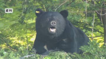 クマが家の近くに…のそのそと歩く姿　夏場は山中のエサ少ない、若いクマの親離れ、交尾期でオスがメスを探して歩き回る「里地での出没の危険性が高まる」注意呼びかけ