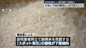 小泉農水相「今後の動向しっかり見ていく」卸売業者間のコメ取引価格下落傾向に