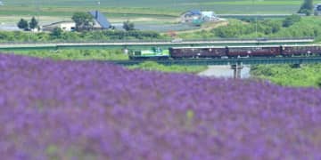2025年夏の富良野線運転計画は？　富良野・美瑛ノロッコ号全車指定席、ラベンダー畑駅臨時停車も